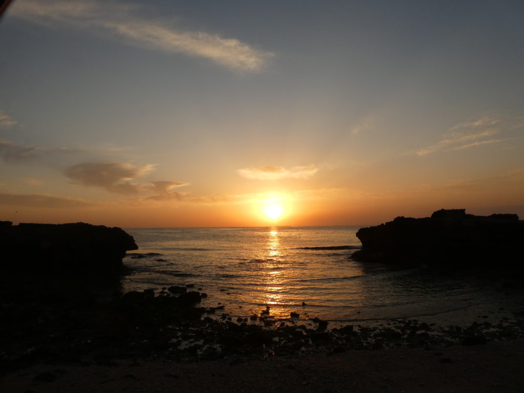 P1170857